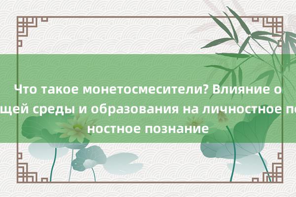 Что такое монетосмесители? Влияние окружающей среды и образования на личностное познание